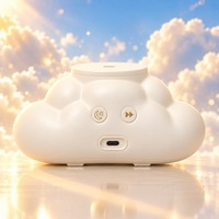 Nubee® + Holy Family Box included
